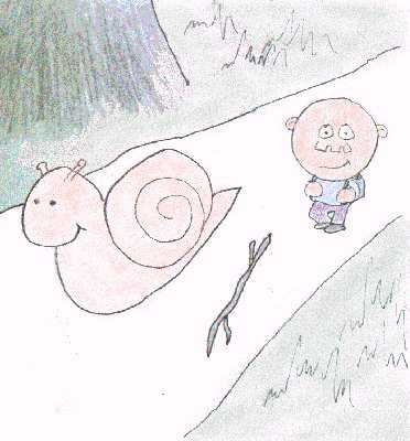 Follow the snail